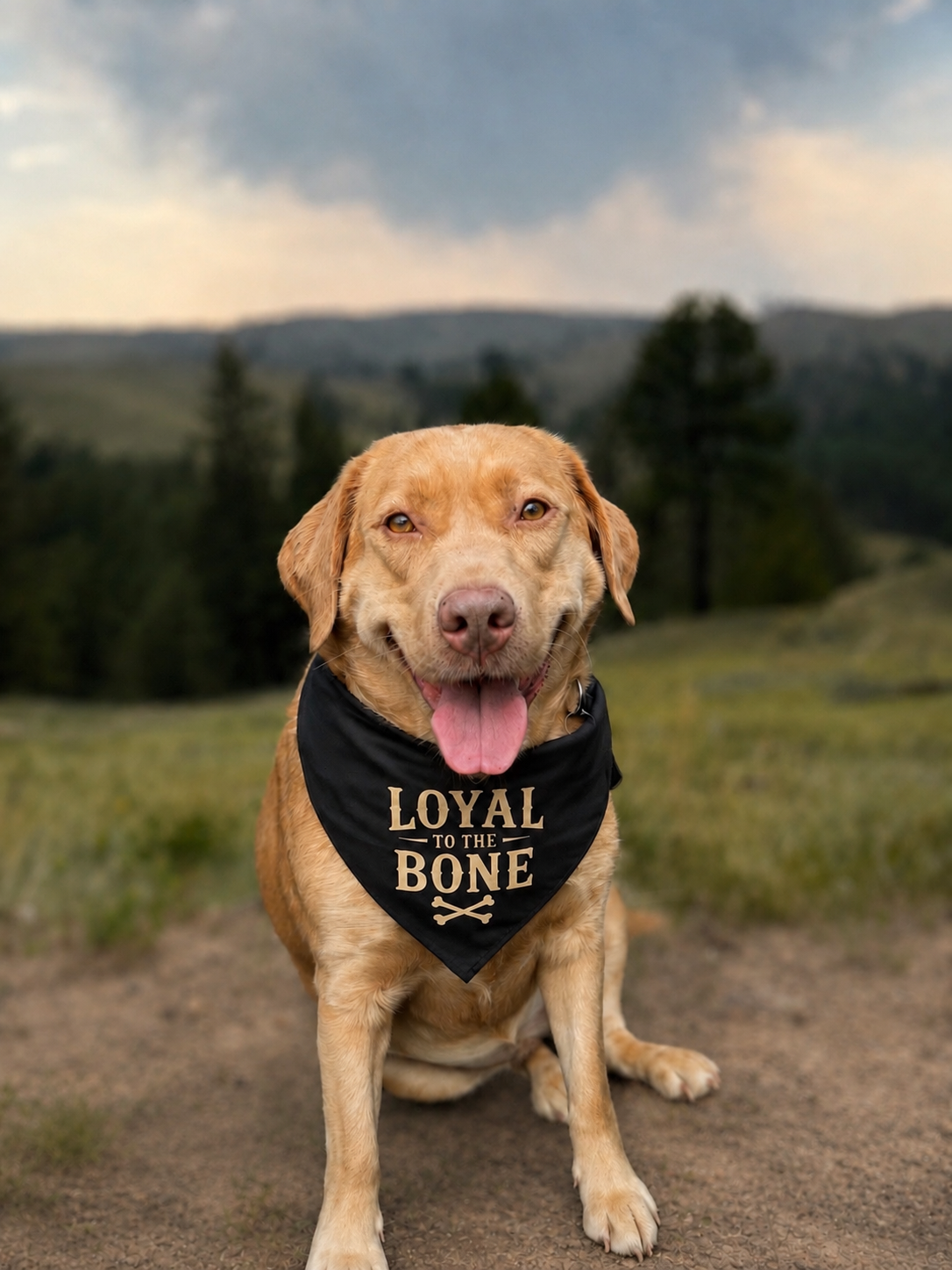 Loyal to the Bone | 100% Cotton Dog Bandana
